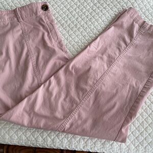 Ann Taylor Weekend Blush Pastel Pink Chino Pants 18
